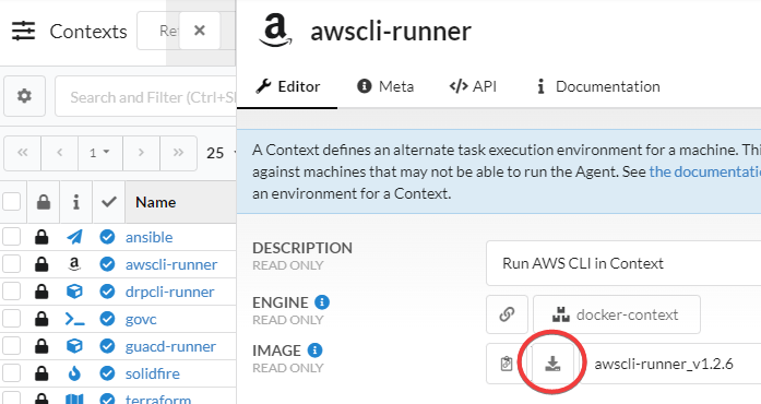 Screenshot of a download button circled in red within the Contexts view